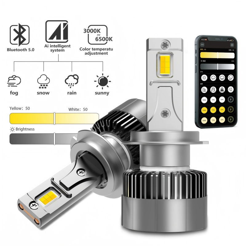 ZF - XM LED - M77 - APP